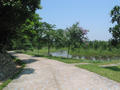 vn 185.jpg (1136x852)